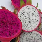  есть перевод питахайя белый примерно 2kg Okinawa префектура производство 