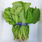  горчица Karashi .2kg примерно 4 пачка ... Okinawa префектура производство [ сейчас ... лист овощи ]