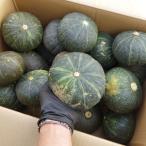 . старый производство тыква маленький шар примерно 10kg(12~20 шар ) пестициды не использование [ отправка 1 месяц ~6 месяц ]