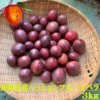 【送料無料】【優品】 パッションフルーツ 約3kg （家庭用バラ）　【発送12〜７月】