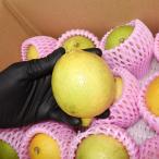 マイヤーレモン約2kg沖縄県産イエロー