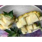  солнечный Dolce ананас примерно 5kg (5~10 штук входит ) Okinawa префектура производство дата указание не возможно 6 месяц примерно ~