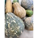  остров тыква 1 шар 1~2kg[ отправка 10~4 месяц ] симпатичный юг .