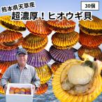 【 ヒオウギ貝 30個】ひおうぎ貝 緋扇貝 檜扇貝 殻付き 贈答用 プレゼント 海の幸 浜焼き BBQ バーベキュー 海鮮 産地直送 熊本 天草 お歳暮 ギフト カラフル 貝