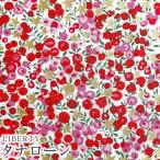 LIBERTYリバティプリント 国産タナローン生地＜Wiltshire Stars＞(ウィルトシャースターズ)【ピンク】36364581-A