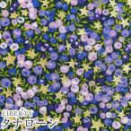 LIBERTYリバティプリント 国産タナローン生地＜Wiltshire Stars＞(ウィルトシャースターズ)【パープル】36364581-B