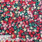 LIBERTYリバティプリント 国産タナローン生地＜Wiltshire Stars＞(ウィルトシャースターズ)【レッド】36364581-J22A