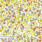 LIBERTYリバティプリント 国産タナローン生地＜Wiltshire Stars＞(ウィルトシャースターズ)【ライムイエロー】36364581-J22B