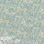 LIBERTYリバティプリント 国産タナローン生地＜Chive＞(チャイブ)【ブルーグレー】3639003-J22G《メルシー創業70周年記念 Merci's Platinum Jubilee 2022》