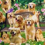 USA хлопок Golden Retriever Park Yardage( золотой retoli балка ) зеленый si- подбородок g ткань Timeless Treasures( время rest отдых )CD2944-GREEN