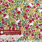  Hello Kitty × Liberty ткань s местного производства tana заем ткань <Strawberry Field>( клубника * поле )[ светло-зеленый ]DC27771-11B