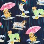 USA хлопок Dogs in the Rain( дождь. средний. собака ..)Paws in the Rain Collectionsi- подбородок g ткань темно-синий Michael Miller( Michael зеркало )DCX12400-NAVY