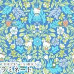  Hello Kitty × Liberty ткань sLIBERTY матирующий ламинирование <Orchard Friends>(o- коричневый -dof линзы )[ sax ]MATLAMI-DC33494-J24E