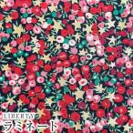 LIBERTYリバティプリント 国産つや消しラミネート＜Wiltshire Stars＞(ウィルトシャースターズ)【レッド】MATLAMI36364581-J22A