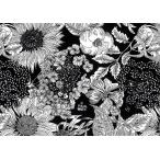 LIBERTYリバティプリント・国産つや消しラミネートSwim Dunclare(スイムダンクレア)【黒】MATLAMI5672151S-TE