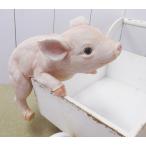 チアフルフレンズ こぶたのビフ ぶた ブタ 豚 pig 置物 小物 オブジェ 丸和貿易(ポイント10倍)