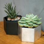 ヘキサゴンポット ブラック シルバー 63666 63667　底穴有り アルミ 鉢 植木鉢 鉢 プランター カバー ポット ガーデン ガーデニング 雑貨 おしゃれ