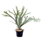 コウモリランイミテーション造花80...