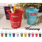 mercury マーキュリー ミニ バケツ バケツ ミニチュア 持ち手 ばけつ ポット バケツ ブリキ おしゃれ かっこいい アンティーク キッチン リビング