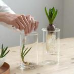 花瓶 PINO ガラスベース ストレート クリア アクシス ホームステッド Homestead HS3236 ガラス アンティーク風 ボトルベース フラワーベース/おしゃれ