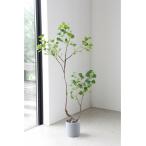 フィカス・ムーディリティ 造花 イミテーション コベントガーデン COVENT GARDEN フェイクグリーン 観葉植物 造花 人工観葉植物 LG-02 (送料無料)