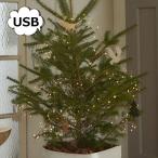 ショッピングクリスマスイルミネーション LEDイルミネーション LED USB ＬＥＤ ワイヤーライト ブランチ グロート ロング Horn Please 志成 107966 クリスマス 飾りつけ ツリー おしゃれ