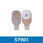 ショッピングホリスター モデルマフレックス FT 凸面 ロックンロール 13-51mm お好みカット 57901 1箱10枚入 ホリスター【返品不可】