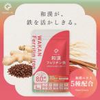 フェリチン鉄 サプリ 鉄分 和漢 まめラボ 鉄サプリ 大豆由来 サプリメント 生姜 高麗人参 葉酸 亜鉛 ビタミンC ビタミンB6 乳酸菌 栄養機能食品 150粒 30日分