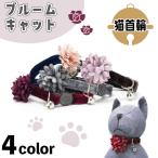 aze задний Bloom кошка 3S кошка ошейник колокольчик имеется кошка для цвет . цветок цветок симпатичный модный безопасность безопасность пряжка кошка AZERIA
