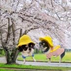 幼稚園スモック 犬服 可愛い コスプレ 園児服 コスチューム 小型犬 中型犬 大型犬チワワ プードル ポメラニアン 柴犬