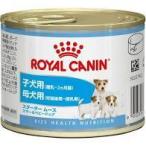 ロイヤルカナン（ROYAL CANIN）スタータームース マザー＆ベイビードッグ  ウェット 離乳から生後2ヶ月齢まで 妊娠後期から授乳期 195g　子犬用