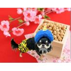 . брюки S размер . минут . костюмированная игра .. это костюм трусы для животных собака одежда собака одежда игрушка пудель чихуахуа собака для 