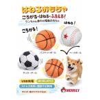 ジャンピングスポーツボール犬おもち...