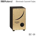 ¥í¡¼¥é¥ó¥É Roland ¥¨¥ì¥¯¥È¥ê¥Ã¥¯¥«¥Û¥ó ÅŻҥ«¥Û¥ó EC-10