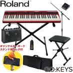 ケース付　Roland ローランド 電子キーボード GO KEYS (小型キーボードアンプ/X型スタンド/キーボードイスセット)