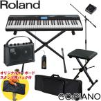 ケース付　Roland ローランド 電子キーボード GO PIANO (キーボードアンプ/X型スタンド/キーボードイスセット)