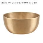 MEINLSonicEnergyシ...