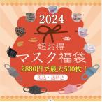 【新春福袋2024】マスク福袋 2024 数量限定 年末年始 使い捨てマスク 大人用 立体マスク 最大500枚パックお得チャンス!