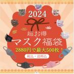 【新春福袋2024】マスク福袋 2024 数量限定 年末年始 使い捨てマスク 大人用 立体マスク  最大500枚パックお得チャンス！