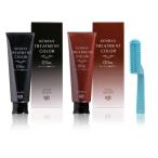 インターコスメ ケンラックス トリートメントカラー 160g ゼロタイム 白髪染め ヘアマニキュア ブラック／ブラウン 専用コームブラシ付き