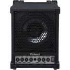 Roland Cube Monitor 30W CM-30