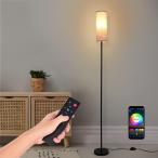 Style: Classic напольный свет свет подставка fro Alain p непрямое освещение подставка модный пол подставка LED лампа RGB дистанционный пульт нет -ступенчатый style свет тонировка с лампочкой .