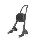 JPMODAO "пассажирская спинка" .. соус поддержка спины, "спинка" накладка имеется соответствует спорт Star XL883 XLH883 XL1200 XLH1200 2004 год -2023 год спорт Star 1200 883 специальный (bla