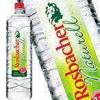 ロスバッハー ナチュラル［無炭酸］ 500mlPET×48本 [24本×2箱] [賞味期限：2026年2月28日]【2〜3営業日以内に出荷】送料無料