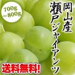 [予約販売]  [送料無料]岡山産瀬戸ジャイアンツ 1房8房 [8箱] まで1配送でお届けします佐川クール [冷蔵] 便でお届けです