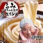 池上製麺所 るみばあちゃん監修 純生 讃岐うどん2人前 うどんのみ 180g × 1袋 メール便【4〜5営業日以内に出荷】 送料無料 ポイント消化