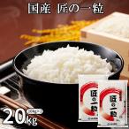 国産 匠の一粒 米 20kg［10kg×2P］白米 ブレンド 精米 30kgまで1配送でお届け[他商品と同梱不可]【2〜3営業日以内に出荷】【送料無料】