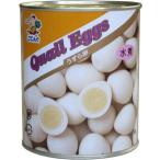 Yahoo! Yahoo!ショッピング(ヤフー ショッピング)天狗）うずら卵 水煮缶（天狗）2号缶【チューボー用品館】 ポイント消化