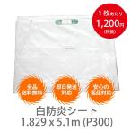 �y10���Z�b�g�z���h���V�[�g�@1.829 x 5.1m (P300)�@�C���`�T�C�Y