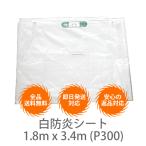 �y10���Z�b�g�z���h���V�[�g�@1.8m x 3.4m (P300)